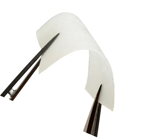 Matrice tissutale chirurgia odontoiatrica - CollaGuide™ - Curasan - collagene