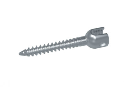 Vite peduncolare monoassiale - HG series - HankilTech Medical - in metallo