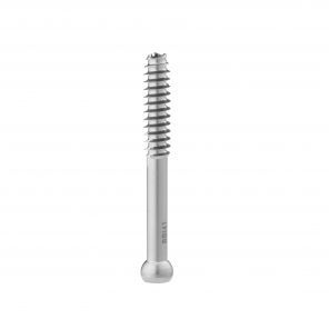 Vite per osteotomia per caviglia - HankilTech Medical - per tibia / femorale / per cotile femorale