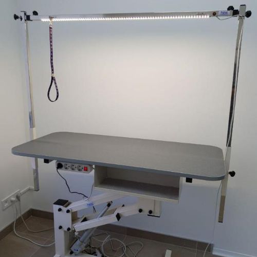 Tavolo per toelettatura elevabile - JE-04e	 - EVG - EdenVetGroom - elettrico