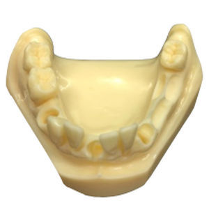 Modello anatomico di mandibola - DM – 115-2 - Selmodels SL - per chirurgia odontoiatrica / per implantologia