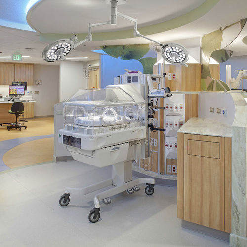 Lampada scialitica a soffitto - JD1800  - Nanchang Micare Medical Equipment - LED / odontoiatrica / veterinaria