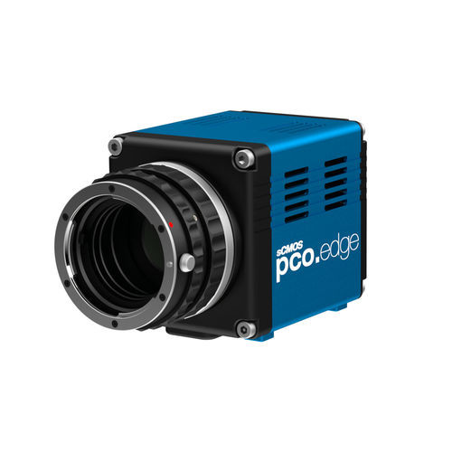 Modulo fotocamera per microscopio - pco.edge 3.1 - PCO AG - digitale / 2048 x 2048 / sCMOS
