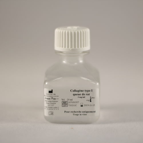 Reagente collagene - TYPE I QUEUE DE RAT - Institut de Biotechnologies Jacques Boy - da ricerca / per coltura cellulare / per adesione cellulare