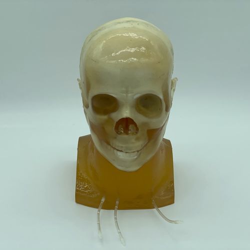 Phantom di calibrazione per radiografia - HD-A03 - True Phantom Solutions - per scanner a raggi X / per MRI / di testa