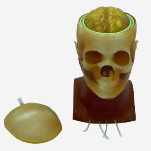 Phantom di calibrazione per radiografia - HD-C03 - True Phantom Solutions - per scanner a raggi X / per MRI / di testa