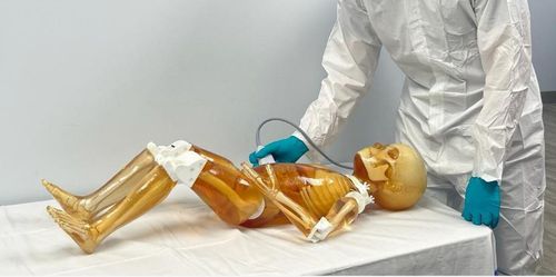 Phantom di calibrazione per ecografia - FB-P02 - True Phantom Solutions - per radiografia / per scanner a raggi X / di corpo intero