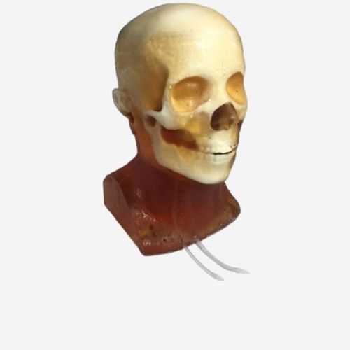 Phantom di calibrazione per radiografia - HD-A05 - True Phantom Solutions - per scanner a raggi X / per MRI / di testa