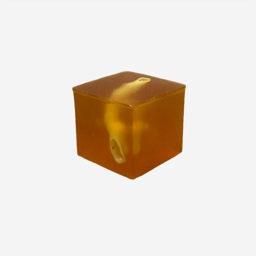 Phantom di calibrazione per ecografia - US-G01 - True Phantom Solutions - di prostata