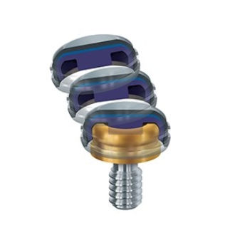Pilastro dentale per impianto in titanio - Zest Dental Solutions - interno / dritto / a vite