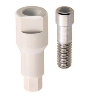 Pilastro dentale per impianto in PEEK - WINSCAN® - BioSAF IN - dritto