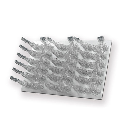 Materiale odontoiatrico ortodontico - ZSLM24TR001 - UNIZ - trasparente / biocompatibile