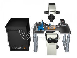 Sistema patch-clamp automatico - PatchServer - HEKA - a un canale / cellula intera / da ricerca