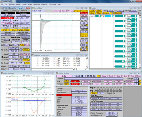 Software medico - PATCHMASTER - HEKA - di analisi / di controllo / di acquisizione