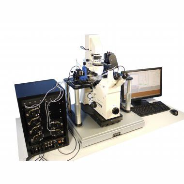 Sistema patch-clamp automatico - PatchServer - Multi Channel Systems