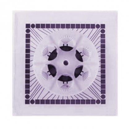 Piastra di rete di microelettrodi da laboratorio - 60-6wellMEA200/30iR-Ti series - Multi Channel Systems - con pozzetto semplice