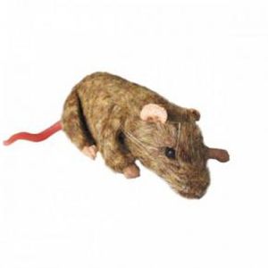 Simulatore didattico - SQUEEKUMS - INTELLIBIO - per sperimentazione animale / di roditore
