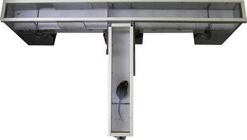 Labirinto a T - Imetronic - per sperimentazione animale / per topi / per ratti