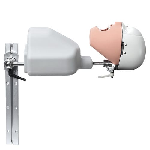 Manichino didattico odontoiatrico - JG-C9 - FOSHAN JINGLE MEDICAL EQUIPMENT CO., LTD - ad uso didattico / di testa / set di manichini