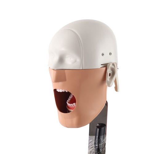 Manichino didattico per cure odontoiatriche - JG-C3 - FOSHAN JINGLE MEDICAL EQUIPMENT CO., LTD - odontoiatrico / ad uso didattico / di dimostrazione