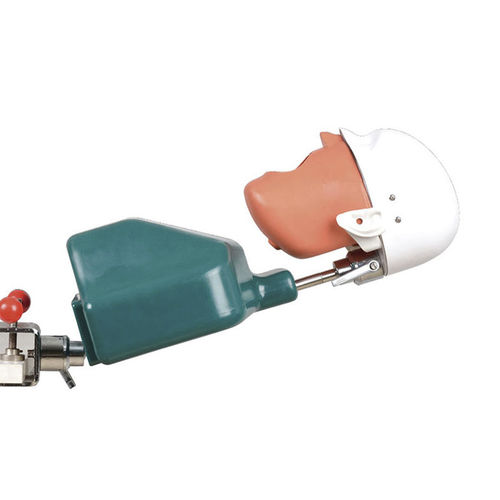 Manichino didattico per implantologia - JG-C1 - FOSHAN JINGLE MEDICAL EQUIPMENT CO., LTD - per endodonzia / per igiene dentale / per estrazione dentale