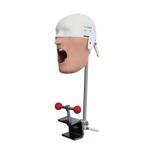 Manichino didattico per igiene dentale - JG-C5 - FOSHAN JINGLE MEDICAL EQUIPMENT CO., LTD - veterinario / ad uso didattico / di adulto