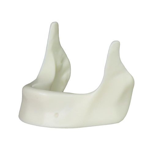 Modello anatomico di mandibola - JG-Y12-Y - FOSHAN JINGLE MEDICAL EQUIPMENT CO., LTD - per cure odontoiatriche / per chirurgia / per implantologia
