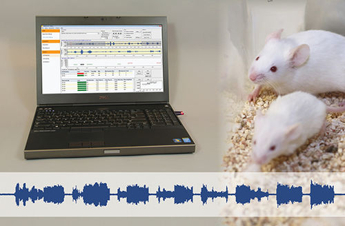 Software per sperimentazione animale - UltraVox™ XT - Noldus - da laboratorio / di analisi / di acquisizione