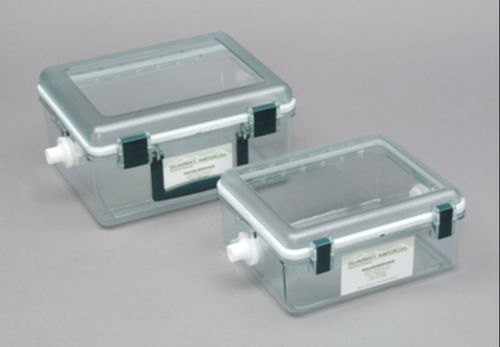 Camera di induzione per anestesia veterinaria - PS-0344 - Rothacher Medical - per sperimentazione animale / per topi / per ratti
