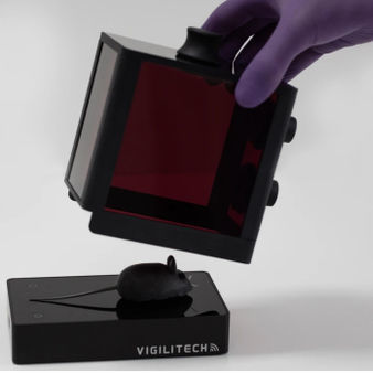 Camera di induzione per anestesia - MARTA  - Rothacher Medical - per sperimentazione animale