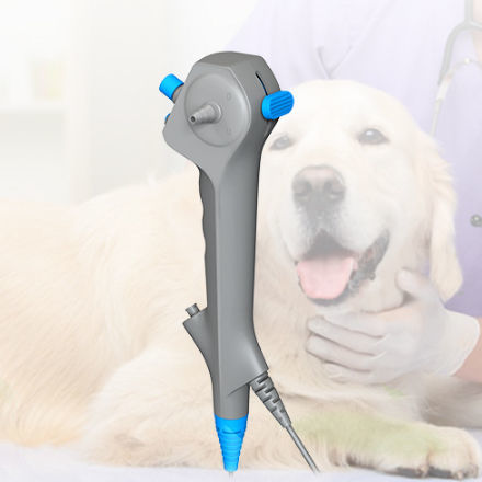 Gastroscopio veterinario video - ABD series - Lianying Medical Technology - per animali di piccola taglia / per animali di grossa taglia