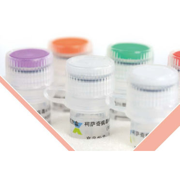 Kit di test per malattie infettive - BEIJING APPLIED BIOLOGICAL TECHNOLOGIES - di immunità / virale / dell'enterovirus