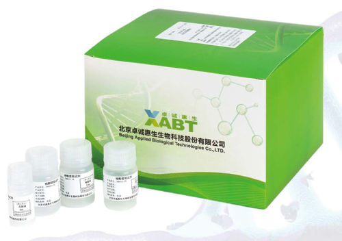Kit di reagenti per acidi nucleici - CN8033-48 - BEIJING APPLIED BIOLOGICAL TECHNOLOGIES - proteinasi K / soluzione tampone / per estrazione di DNA