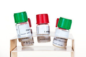 Kit di reagenti plasma - 225301 - CoaChrom Diagnostica - di controllo qualità / liofilizzato / cromogenico