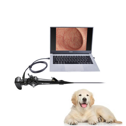 Broncoscopio veterinario video - EU series - Zhuhai Seesheen Medical Technology - per animali di piccola taglia / per cani / con canale operativo