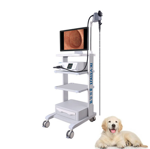 Broncoscopio veterinario video - GU series - Zhuhai Seesheen Medical Technology - per animali di piccola taglia / per animali di grossa taglia / per cani