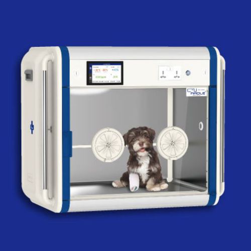 Incubatrice veterinaria - PX-ICU160+(C) - Autoelex