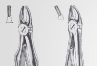 Pinza per estrazione denti per premolari - 12-48-001, 12-48-002 - J+K Chirurgische Instrumente - per incisivi superiori