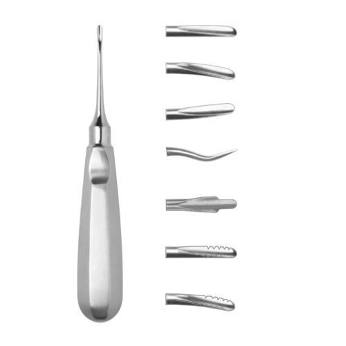 Leva lussatrice dentale dritta -  13-53 series - J+K Chirurgische Instrumente