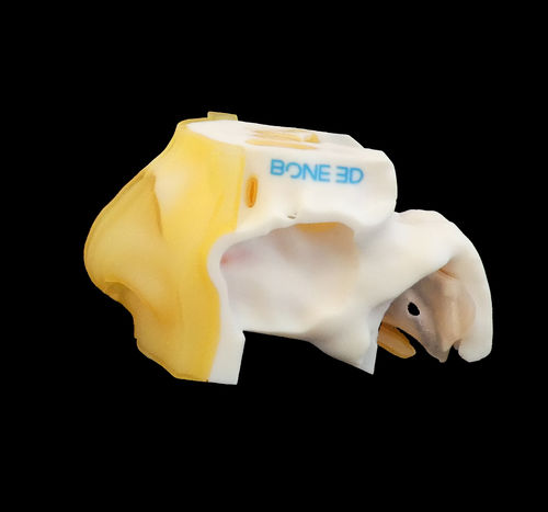Simulatore didattico - NASO-Train  - Bone 3D - per prelievo nasofaringeo / per chirurgia / per diagnosi COVID-19