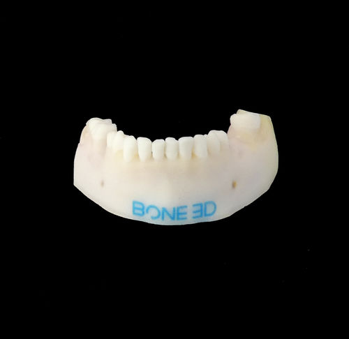 Simulatore didattico - BUCCO-Train - Bone 3D - per chirurgia odontoiatrica / per chirurgia orale / per cure odontoiatriche