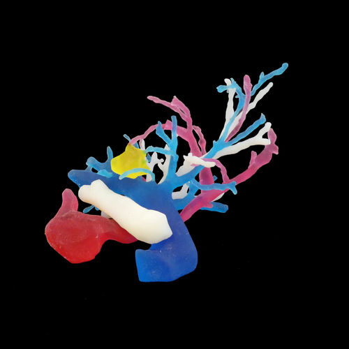 Modello anatomico di bronco - Bone 3D - didattico / portatile