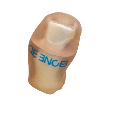 Simulatore didattico - PODO-Train - Bone 3D - per chirurgia / per cure podologiche / di piede