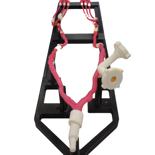 Simulatore didattico - VASCULO-Train - Bone 3D - per accesso vascolare / per puntura / per cataterismo