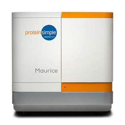 Sistema di elettroforesi capillare - Maurice - ProteinSimple - a isoelettrofocalizzazione / SDS / per proteine