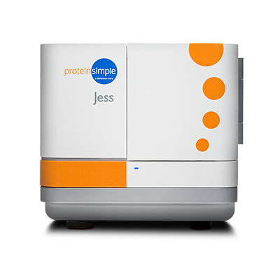 Analizzatore di western blot automatizzato - Jess - ProteinSimple