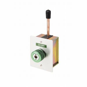 Presa per sistemi di distribuzione di gas medicali - JIS  - Anest Iwata Corporation - di ossigeno / d'aria / N2O