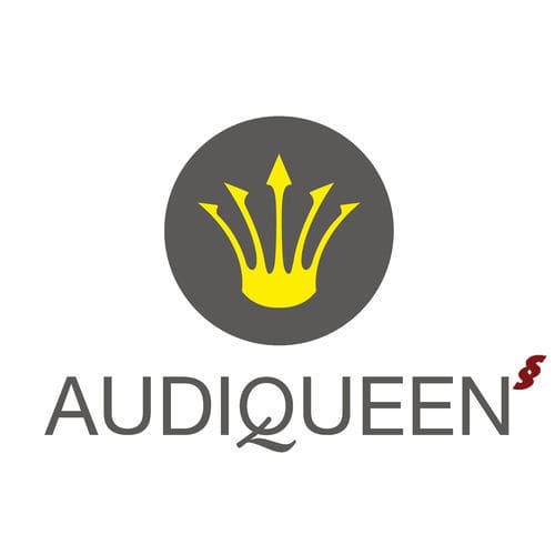 Software di controllo dei dispositivi - AUDIQUEEN  - Otoconsult - di audiometria / ORL / per ospedale