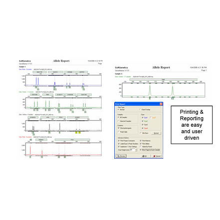 Software di analisi - GeneMarker®HID  - SoftGenetics, LLC. - medico / a elettroforesi capillare