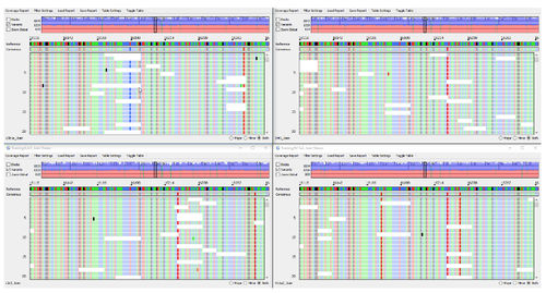 Software medico - GeneMarker®HTS  - SoftGenetics, LLC. - per sequenziamento di DNA / di analisi / di controllo